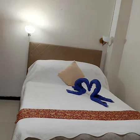 Aberrise Country Villa Pension Hotel-2
